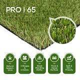 Keep It Green Turf
Pro Turf I